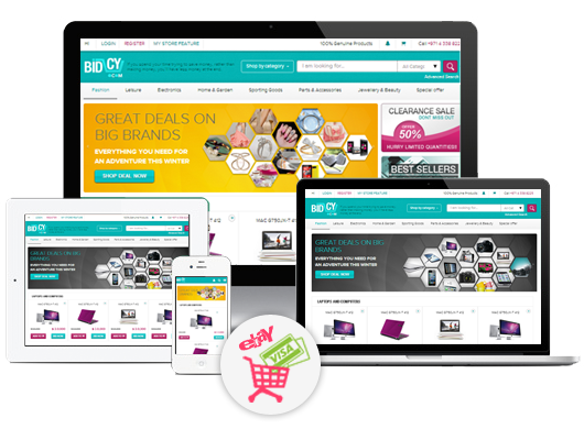 screenshot of E-Multitech Auction